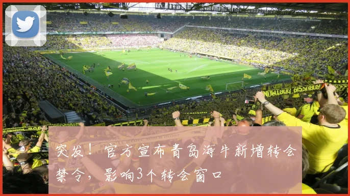 突发!官方宣布青岛海牛新增转会禁令,影响3个转会窗口